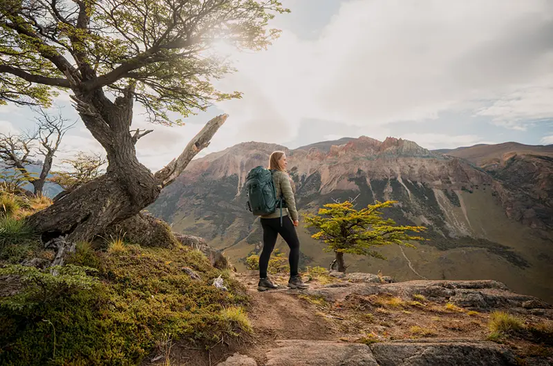 Trekking through the native forest